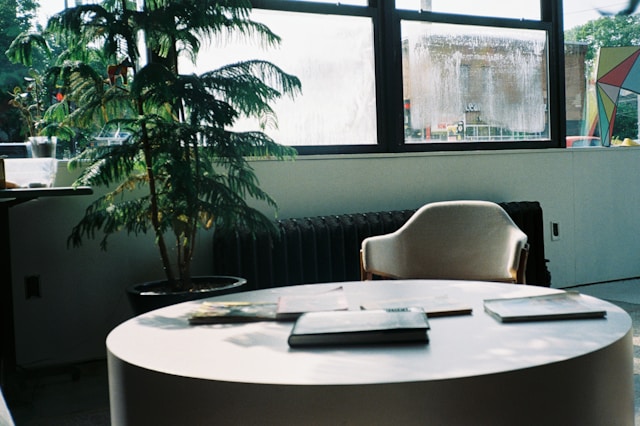 Why an NGO Audit Is Essential for Transparency