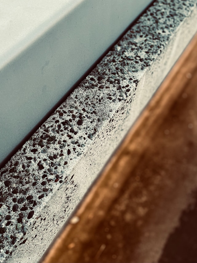 Post-Renovation Growth in Mold Removal Services Singapore